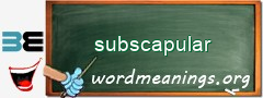 WordMeaning blackboard for subscapular